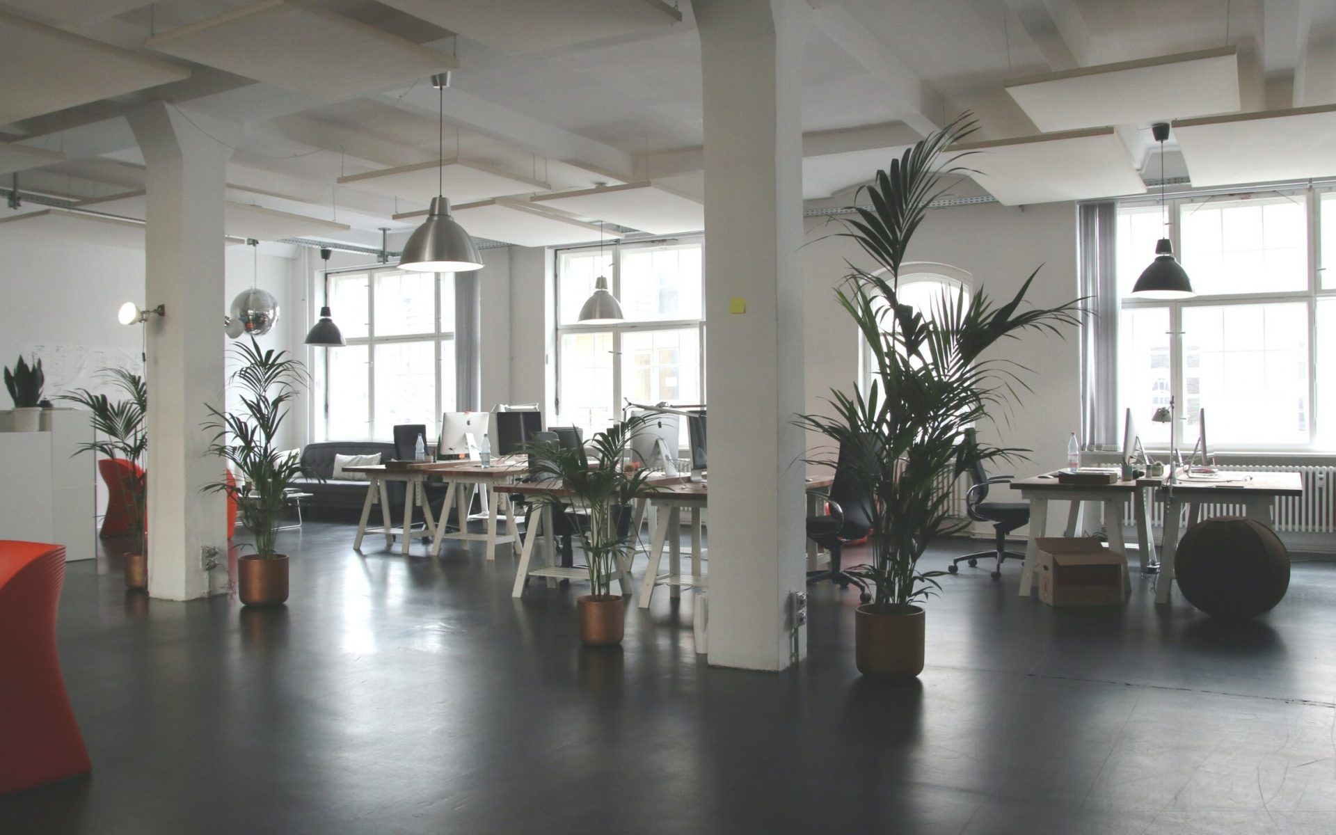 Industrial open office plan with some plants